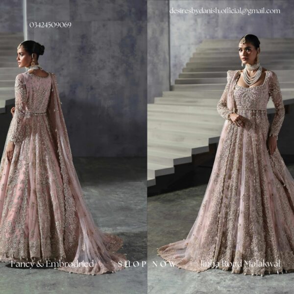 Sofia – The Brides Edit 24 | Afrozeh AFB-24-02 - Image 2